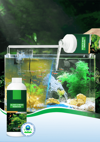 2-IN-1 Efficient Algae Remover